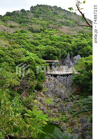 大石林山より 74887235