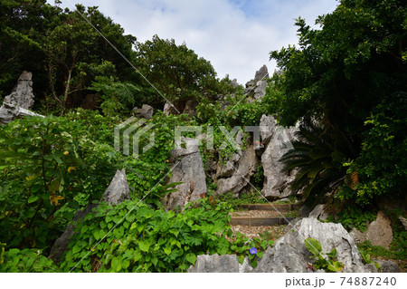 大石林山より 大石林山より 74887240