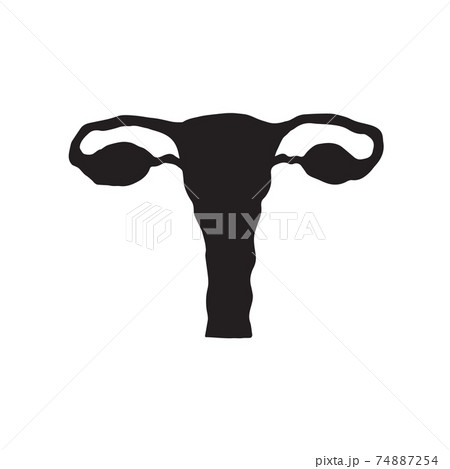 Vector hand drawn uterus silhouettу 74887254