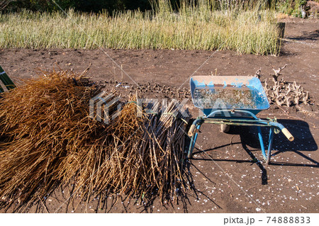 雨上がりの一輪車 74888833