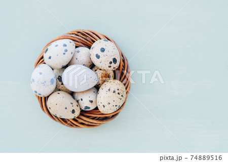 Quail eggs in bird nest on light blue background. 74889516