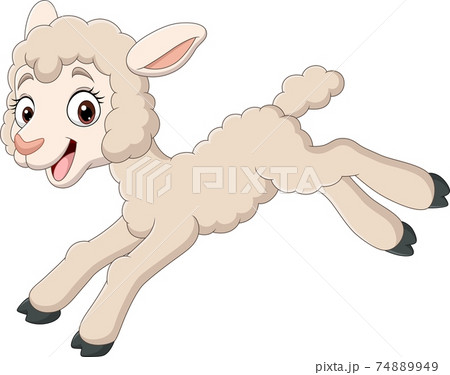 Cartoon baby lamb jumping on white background 74889949