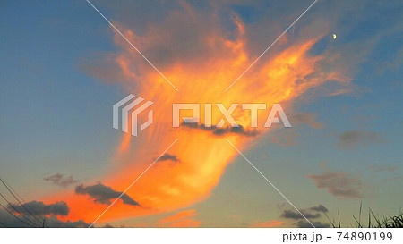 奇妙な形の夕焼け雲のある風景 奇妙な形の夕焼け雲のある風景 74890199