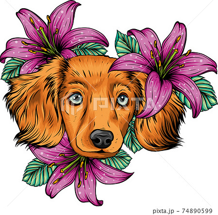 Portrait of a Spaniel dog in a flower head wreath. Vector illustration. 74890599