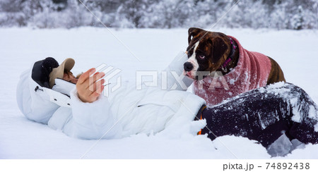 Adorable Boxer Dog playing with her owner 74892438