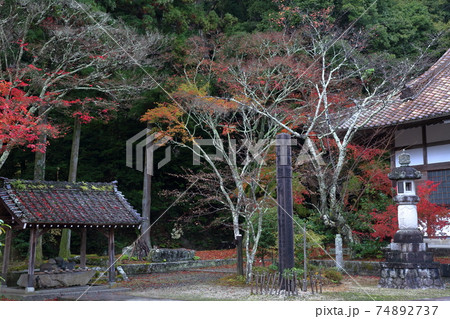 赤く色づく、本堂、手水舎(雲興寺 愛知県 瀬戸市) 赤く色づく、本堂、手水舎(雲興寺 愛知県 瀬戸市) 74892737