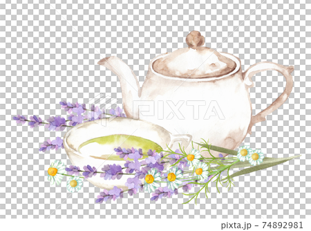 ラベンダーとカモミールのハーブティー 74892981