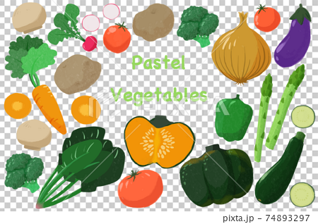 手描き風野菜イラスト 74893297