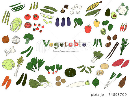野菜のイラストセット-手描き 野菜のイラストセット-手描き 74893709