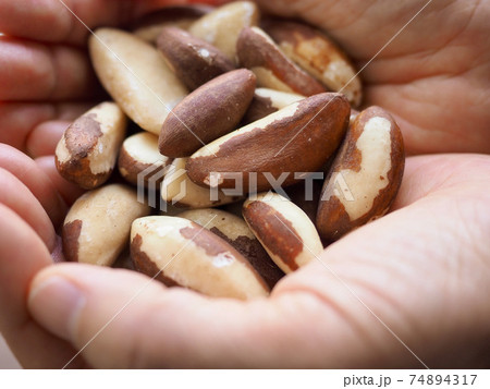 手 栄養 食べ物 74894317
