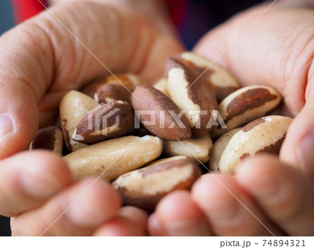 手 栄養 食べ物 74894321