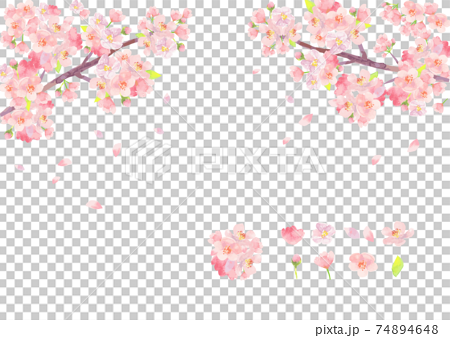水彩描いた桜のイラスト 74894648