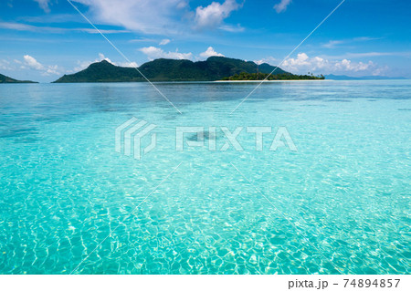 Tropical island with coconut palm. Beach fun. Tropical island with coconut palm. Beach fun. 74894857