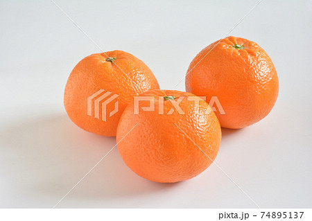 いよかん　伊予柑 74895137