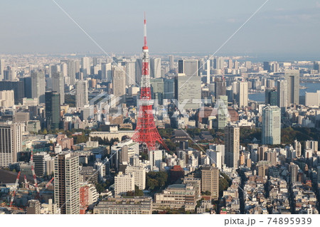 東京タワー 東京タワー 74895939