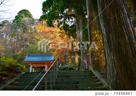 大山寺　参拝道　石段　鳥取県大山町 74896867
