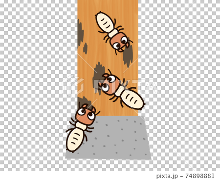 Termites eating pillars 74898881