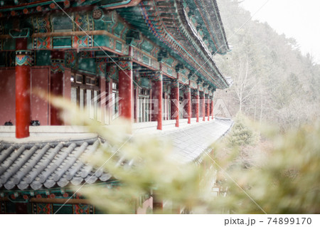 冬 雪景色 川 74899170
