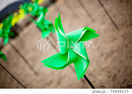 赤色 赤 花 74899215