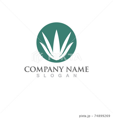 Aloe vera logo and symbol vector image 74899269