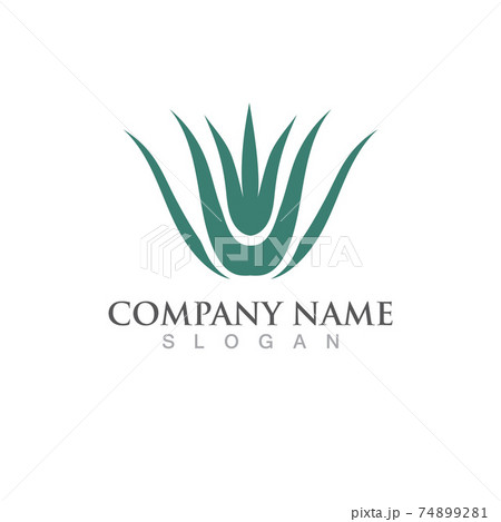 Aloe vera logo and symbol vector image 74899281