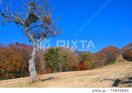 大山　奥大山スキー場　鳥取県江府町 74899880
