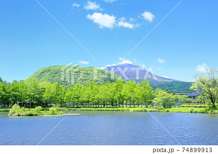 夏の軽井沢・矢ヶ崎公園 夏の軽井沢・矢ヶ崎公園 74899913