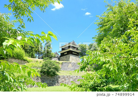 夏の上田城跡公園 夏の上田城跡公園 74899914