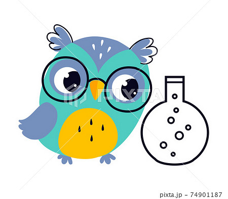 Wise Owl in Glasses, Cute Bird Chemistry Teacher Cartoon Character Vector Illustration Wise Owl in Glasses, Cute Bird Chemistry Teacher Cartoon Character Vector Illustration 74901187