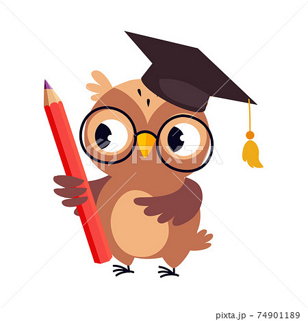 Wise Brown Owl in Graduation Cap, Cute Bird Teacher Cartoon Character with Pencil Vector Illustration Wise Brown Owl in Graduation Cap, Cute Bird Teacher Cartoon Character with Pencil Vector Illustration 74901189