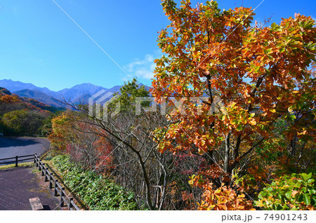 大山 地蔵峠展望台 大山 地蔵峠展望台 74901243