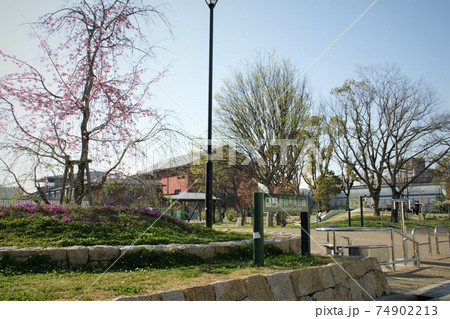 野田中央公園 74902213