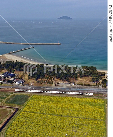海をバックに菜の花畑を走る筑肥線 海をバックに菜の花畑を走る筑肥線 74902942