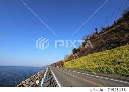 絵になる駅　下灘駅　菜の花畑 74903138