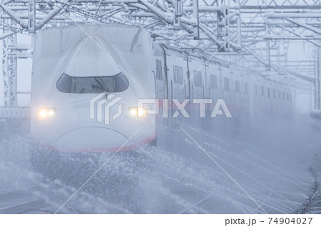 74904027