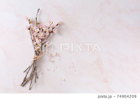 春のイメージ サクラの花束 春のイメージ サクラの花束 74904209