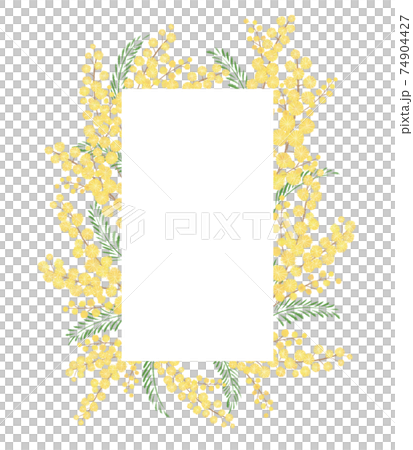 ミモザの手描きイラスト/スクエアフレーム ミモザの手描きイラスト/スクエアフレーム 74904427