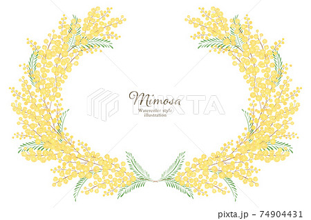 ミモザの手描きイラスト 楕円のフレームのイラスト素材