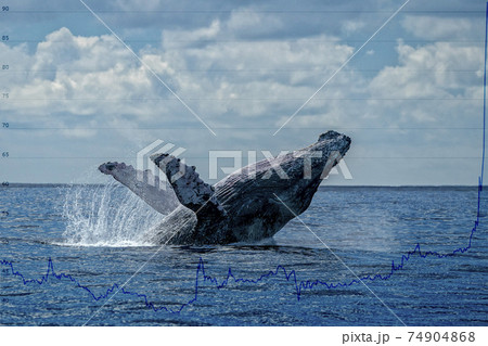 Breaching whale with stock market money cripto value bitcoin diagram flow chart 74904868