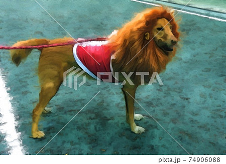 ライオン犬のイラスト素材