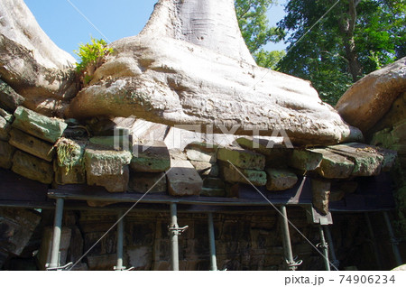 アンコール遺跡群 タ・プローム アンコール遺跡群 タ・プローム 74906234