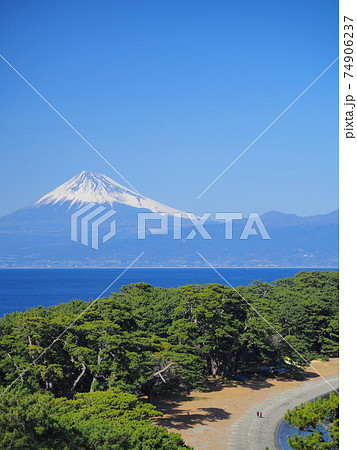 静岡県 御浜岬と富士 2月 静岡県 御浜岬と富士 2月 74906237