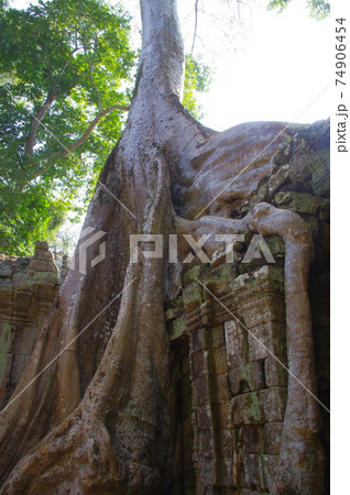 アンコール遺跡 タ・プローム 74906454