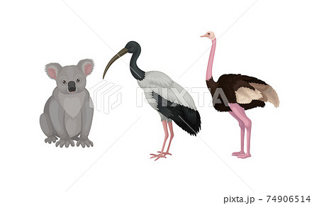 Koala Bear and Emu Bird as Australian Animals Vector Set Koala Bear and Emu Bird as Australian Animals Vector Set 74906514