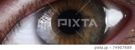 Human eye with eyelashes cornea and pupil closeup Human eye with eyelashes cornea and pupil closeup 74907689