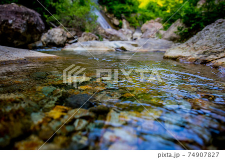紅葉川渓谷 74907827