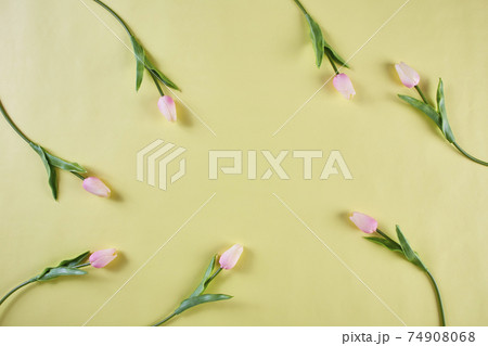 pink tulips on a yellow background, spring, top view, 74908068
