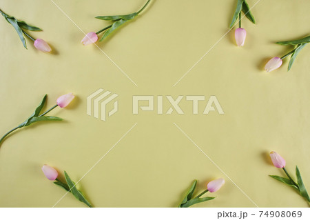pink tulips on a yellow background, spring, top view, 74908069