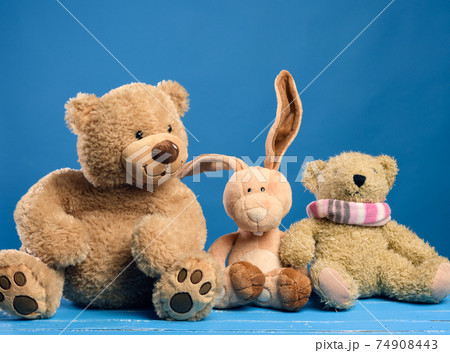 brown teddy bear and cute rabbit sit on a blue background 74908443