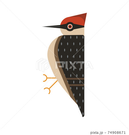 Red Head Woodpecker Bird Geometric Flat Iconのイラスト素材